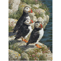 Cobble Hill - Fisherman's Wharf Puzzle 500pc