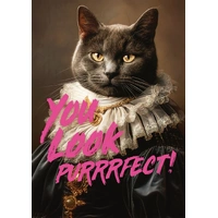 Piatnik - You Look Purrrfect! Puzzle 1000pc