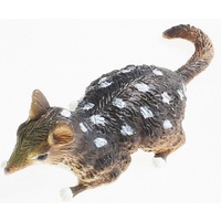 Science & Nature - Quoll