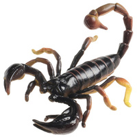Science & Nature - Scorpion