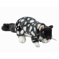 Bocchetta - Polka Eastern Quoll Plush Toy 20cm