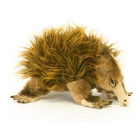 Bocchetta - Harry Echidna Plush Toy 24cm