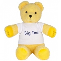 Play School - Big Ted Plush Toy 28cm