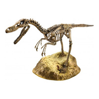 Animal Planet - Velociraptor Skeleton