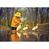 Castorland - Rainy Day Friends Puzzle 500pc
