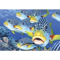Blue Opal - Australian Geographic Oblique-Band Sweetlips Puzzle 1000pc