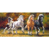 Castorland - Born to Run Puzzle 4000pc