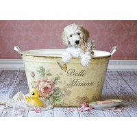Educa - Belle Maison, Lisa Jane Puzzle 500pc