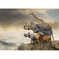 Educa - Animals of the Edge of a Cliff Puzzle 500pc