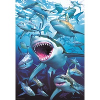 Educa - Shark Club Puzzle 500pc