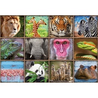 Educa - Wild Animals Collage Puzzle 1000pc