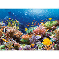 Castorland - Coral Reef Puzzle 1000pc