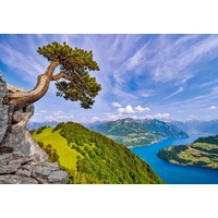 Castorland - View of the Lake of Uri, Switzerland Puzzle 1000pc