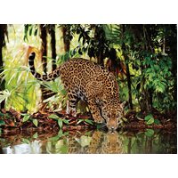 Clementoni - Leopard Puzzle 2000pc