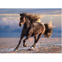 Clementoni - Free Horse Puzzle 1000pc