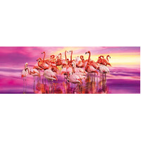 Clementoni - Flamingo Dance Panorama Puzzle 1000pc