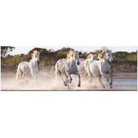 Clementoni - Running Horses Panorama Puzzle 1000pc