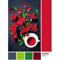 Clementoni - Pantone Red Hibiscus Aroma Puzzle 1000pc