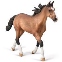 Collecta - Standardbred Pacer Stallion - Bay 80004