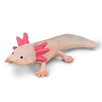 Collecta - Axolotl 80015