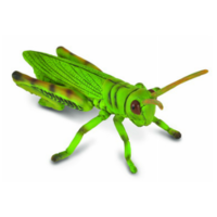 Collecta - Grasshopper 88352