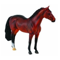 Collecta - Hanoverian Stallion Bay 88431