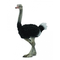 Collecta - Ostrich 88459