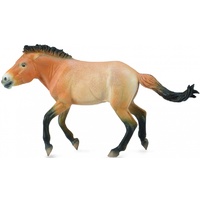 Collecta - Przewalski Stallion 88602