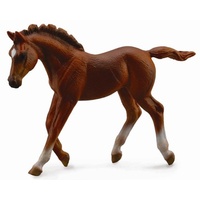 Collecta - Thoroughbred Foal Walking - Chestnut 88670