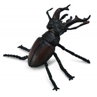 Collecta - Stag Beetle 88703
