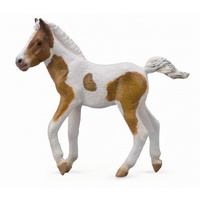 Collecta - Dartmoor Hill Foal Skewbald 88735