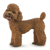 Collecta - Poodle 88880