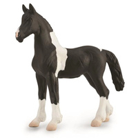 Collecta - Barok Pinto Foal 88893
