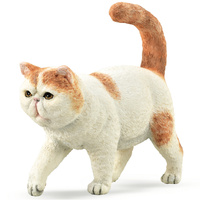 Collecta - Exotic Shorthair Cat 88937