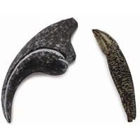 Collecta - Allosaurus - Tooth & Finger Claw Replica 89288