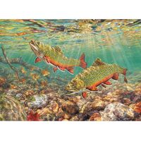 Cobble Hill - Brook Trout Puzzle 1000pc