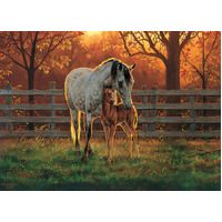 Cobble Hill - Quiet Time Puzzle 500pc