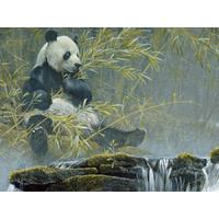 Cobble Hill - Giant Panda Puzzle 500pc