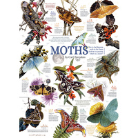 Cobble Hill - Moth Collection Puzzle 1000pc