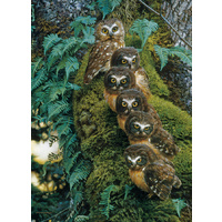 Cobble Hill - Family Tree Puzzle 1000pc