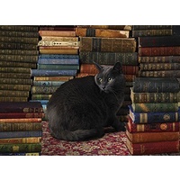 Cobble Hill - Library Cat Puzzle 1000pc