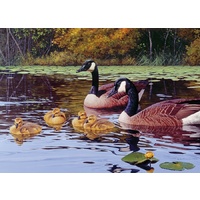 Cobble Hill - Platts Pond Puzzle 1000pc