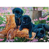 Cobble Hill - Trouble in the Garden Puzzle 500pc