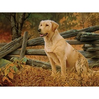 Cobble Hill - Man's Best Friend Puzzle 500pc