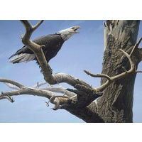 Cobble Hill - Call of the Wild Large Piece Puzzle 500pc