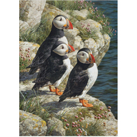 Cobble Hill - Fisherman's Wharf Large Piece Puzzle 500pc