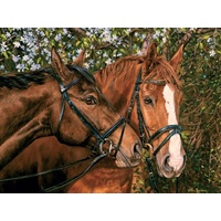 Cobble Hill - Friends Forever Large Piece Puzzle 275pc