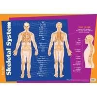 Gillian Miles - Skeletal System Wall Chart