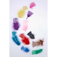EC - Feathers Tropical 20gms