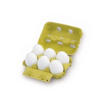 Learning Can Be Fun - Plastic Eggs (box of 6)